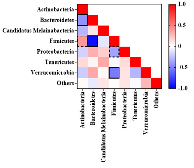 Correlation among the bacterial phylum of the cecum in broiler chickens supplemented with steam-exploded wood (SEW) and kept at either thermoneutral or heat stress conditions. Values from each phylum were used to determine the correlation among each other. Zero indicates similarity without any possibility of correlation, while plus and minus values indicate positive and negative correlation, respectively. The continuous line and dash line indicate significance at p < 0.05 and p < 0.10, respectively