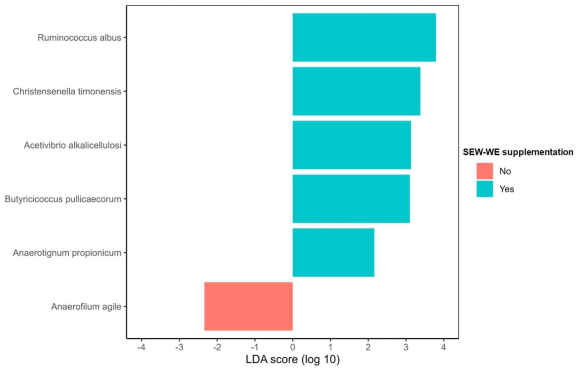 Linear discriminant analysis (LDA) combined effect size measurements (LEfSe) analysis of cecal microbiota in broiler chickens. The species represented are statistically significant (p  2.0) and play an important role in the control (red) or SEW-WE-supplemented groups (green)