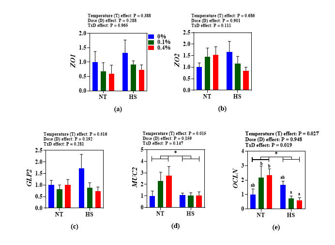 Effects of steam exploded wood water extracts (SEW-WE) on the expression of intestinal health-related genes (a) Zo1 (b) Zo2 (c) GLP-2 (d) Mucin2 and (e) Occludin, respectively, in the jejunum of broilers reared under normal or cyclic heat stress conditions. Chickens were fed with diets containing 0% (control), 0.1%, and 0.4% steam exploded wood water extracts (SEW-WE) from the 8th day to the 35th day of age. From 28th day to the 35th day of age, birds were either kept at thermoneutral temperature (21.0 ℃) or exposed to cyclic heat stress at 31.0 ℃ for six hours daily. Data show mean ± SEM (n = 7). Abbreviations: NT, normal temperature; HS, heat stress; Zo1, Zonula occluden 1; Zo2, Zonula occluden 2; GLP-2, Glucagon-like peptide-2; Muc2, mucin2; OCLN, Occludin