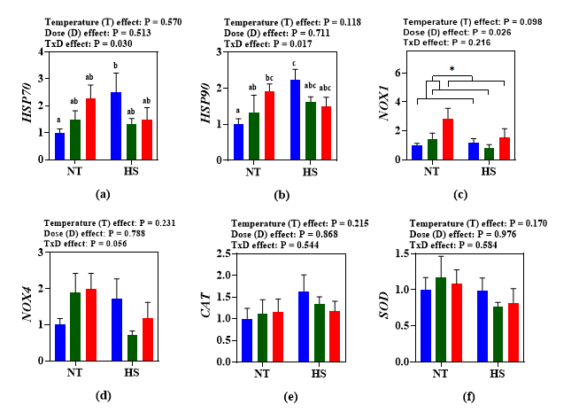 Effects of dietary steam exploded wood water extracts (SEW-WE) on the expression of stress-related genes (a) HSP70 (b) HSP90 (c) Nox1 (d) Nox4 (e) CAT and (f) SOD, respectively, in the jejunum of broilers reared under normal or cyclic heat stress conditions. Chickens were fed with diets containing 0% (control), 0.1%, and 0.4% steam exploded wood water extracts (SEW-WE) from the 8th day to the 35th day of age. From 28th day to the 35th day of age, birds were either kept at thermoneutral temperature (21.0 ℃) or exposed to cyclic heat stress at 31.0 ℃ for six hours daily. Data show mean ± SEM (n = 7). Abbreviations: NT, normal temperature; HS, heat stress; HSP70: Heat shock protein 70; HSP90: Heat shock protein 90; NOX1; Nicotinamide adenine dinucleotide phosphate oxidase 1; NOX4; Nicotinamide adenine dinucleotide phosphate oxidase 4; CAT: Catalase; SOD: Superoxide dismutase