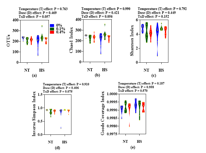 Effects of steam exploded wood water extracts (SEW-WE) on the alpha-diversity indices representing (a) OTUs (b) Chao1 index (c) Shannon index (d) Inverse Simpson index, and (e) Goods Coverage index in the cecum of broilers reared under normal or cyclic heat stress conditions. Chickens were fed with diets containing 0% (control), 0.1%, and 0.4% steam exploded wood water extracts (SEW-WE) from the 8th day to the 35th day of age. From 28th day to the 35th day of age, birds were either kept at thermoneutral temperature (21.0 ℃) or exposed to cyclic heat stress at 31.0 ℃ for six hours daily. The number of samples (n = 7). Abbreviations: NT, normal temperature; HS, heat stress