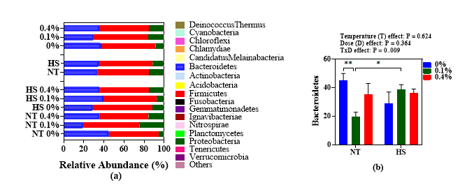 Effects of steam exploded wood water extracts (SEW-WE) on the (a) relative abundance of phylum and (b) Bacteroidetes abundance (significantly modified phylum) in the cecum of broilers reared under normal or cyclic heat stress conditions. Chickens were fed with diets containing 0% (control), 0.1%, and 0.4% steam exploded wood water extracts (SEW-WE) from the 8th day to the 35th day of age. From 28th day to the 35th day of age, birds were either kept at thermoneutral temperature (21.0 ℃) or exposed to cyclic heat stress at 31.0 ℃ for six hours daily. The number of samples (n = 7). Abbreviations: NT, normal temperature; HS, heat stress