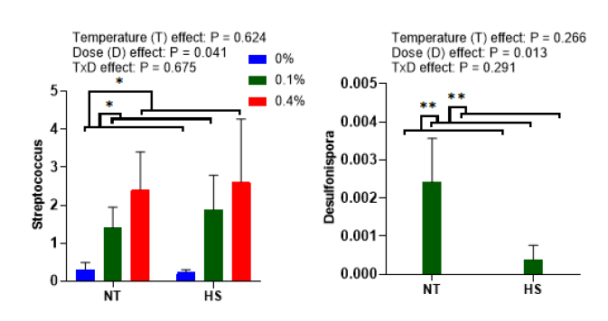 Effects of steam exploded wood water extracts (SEW-WE) on the relative abundance of significantly modified genera showing dose effect in the cecum of broilers reared under normal or cyclic heat stress conditions. Chickens were fed with diets containing 0% (control), 0.1%, and 0.4% steam exploded wood water extracts (SEW-WE)es from the 8th day to the 35th day of age. From 28th day to the 35th day of age, birds were either kept at thermoneutral temperature (21.0 ℃) or exposed to cyclic heat stress at 31.0 ℃ for six hours daily. Data show mean ± SEM (n = 7). Abbreviations: NT, normal temperature; HS, heat stress