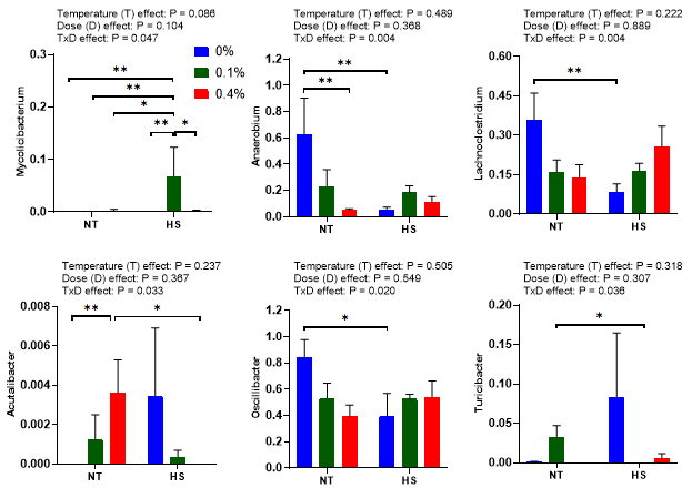 Effects of steam exploded wood water extracts (SEW-WE) on the relative abundance of significantly modified genera showing interaction effect in the cecum of broilers reared under normal or cyclic heat stress conditions. Chickens were fed with diets containing 0% (control), 0.1%, and 0.4% steam exploded wood water extracts (SEW-WE) from the 8th day to the 35th day of age. From 28th day to the 35th day of age, birds were either kept at thermoneutral temperature (21.0 ℃) or exposed to cyclic heat stress at 31.0 ℃ for six hours daily. Data show mean ± SEM (n = 7). Abbreviations: NT, normal temperature; HS, heat stress