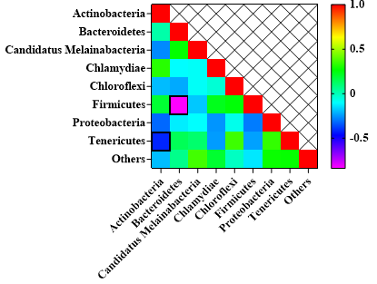 Cecum bacterial phylum correlation in broiler chickens. Zero represents similarity while plus and minus values represent positive and negative correlation, respectively. The square box outlined with black indicates significance at p < 0.05