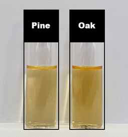 Water soluble polysaccharide extracted from steam exploded pine and oak chip under optimal extraction conditions