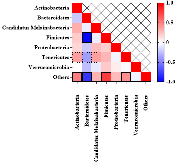 Correlation among the bacterial phylum of the cecum in broiler chickens. Zero indicates similarity without any possibility of correlation, while plus and minus values indicate positive and negative correlation, respectively. The continuous line and dashed line indicate significance at p < 0.05 and p < 0.10, respectively