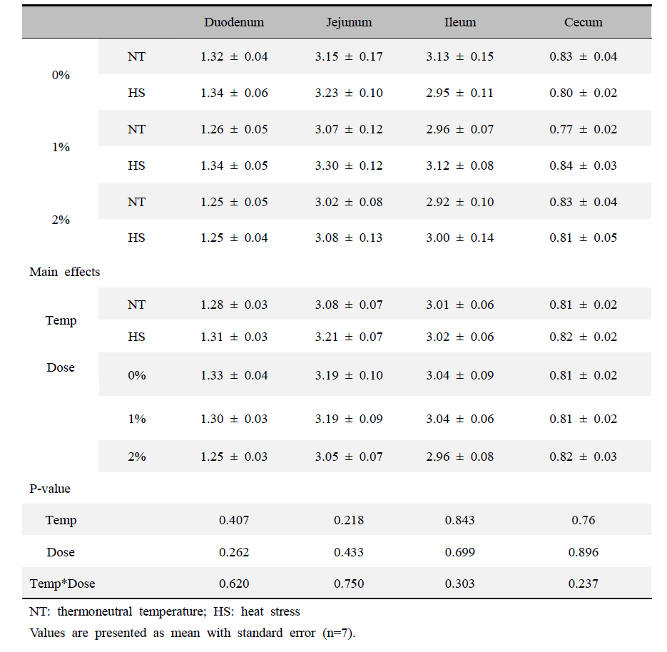 Effect of steam-exploded wood (SEW) supplementation on the organ length (cm/100 gm body weight) of broilers reared under normal or cyclic heat stress conditions