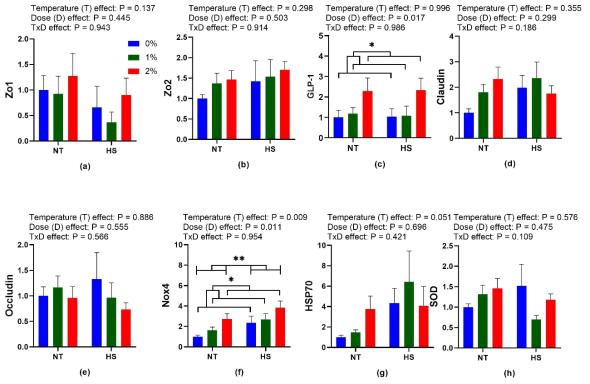 Effect of dietary steam-exploded wood (SEW) supplementation on the gene expression profiling of genes (a) Zo1 (b) Zo2 (c) GLP-2 (d) Claudin (e) Occludin (f) Nox4 (g) Hsp70 (h) and SOD respectively, in the duodenum of broilers reared under normal or cyclic heat stress conditions. Dietary treatments were 0, 1, and 2% SEW in diets respectively. The temperature of the rooms was maintained at either thermoneutral (NT; 21 °C) or cyclic heat stress (CHS; 31 °C; 6 h daily) for seven days