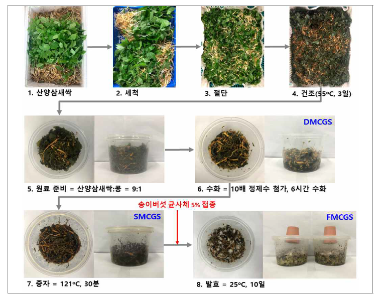 산양삼새싹의 송이버섯 균사체 이용 가공단계별 제조과정.