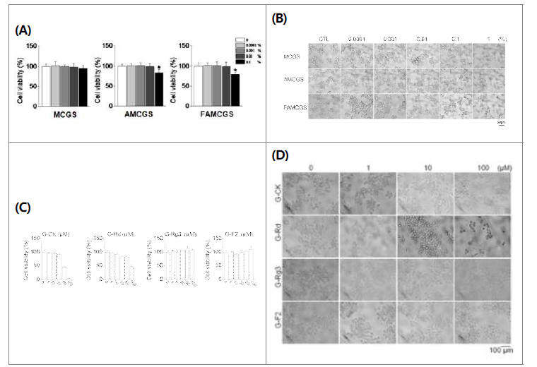 산양삼 (MCGS), 활성산양삼 (AMCGS), 활성숙성산양삼 (FAMCGS) 추출물의 세포생존 효과 (A), 위상차 현미경 세포 이미지 (B), 진세노이드(G-CK, G-Rd, G-Rg3 G-F2) 표준물질의 세포생 존 효과 (C) 진세노사이드 처리 후 위상차 현미경 세포 이미지 (D) 분석