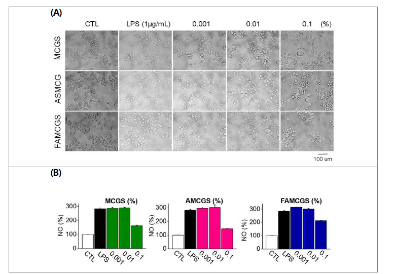 LPS 처리에 의해 활성화된 RAW264.7 세포에서 추출-농축액의 활성 변화 효과를 위 상차현미경으로 관찰한 이미지 (A) nitric oxide (NO) 소거능 (B)