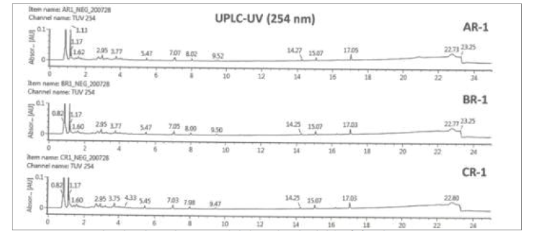 생육연도별(4-6년근) 3종 산양삼 뿌리부위 메탄올 추출물을 UPLC-TOF-mass UV-254 nm로 분석한 대사체 프로파일링 패턴(A: 4년근, B: 5년근, C: 6년근)