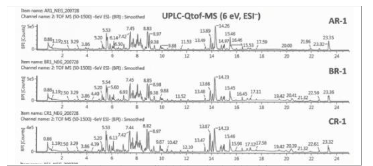 생육연도별(4-6년근) 3종 활성산양삼 뿌리부위 메탄올 추출물을 UPLC-TOF-mass ESI negative mode로 분석한 대사체 프로파일링 패턴(A: 4년근, B: 5년근, C: 6년근)