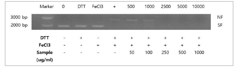 Positive control(ascorbic acid) 메탄올 추출물 효능