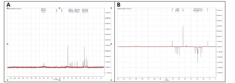 순수정제·분리한 PG-NMR 5 DEPT NMR 스펙트럼.