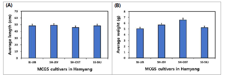 함양 지역별 산양삼의 (A) 평균 길이 및 (B) 평균 무게 비교.