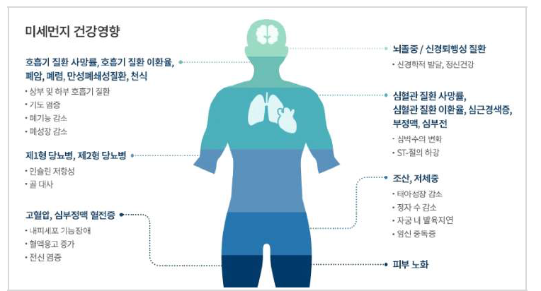 미세먼지가 건강에 미치는 영향