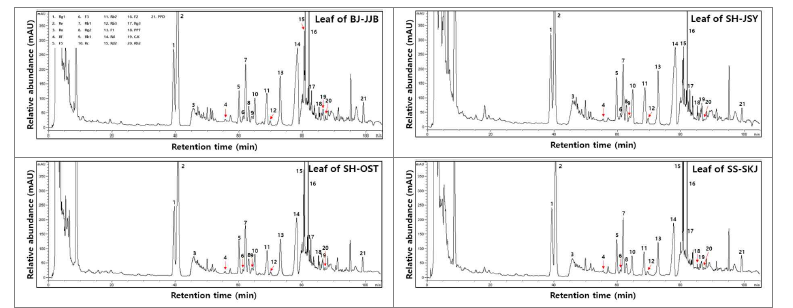 함양 지역별 산양삼 잎의 전형적인 ginsenoside HPLC 크로마토그램.