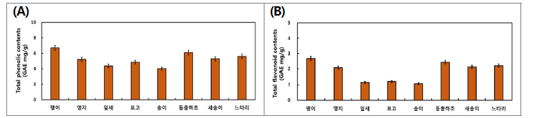 버섯균사체 이용 산양삼 전초 발효의 총 phenolics (A), 총 flavonoids 함량.