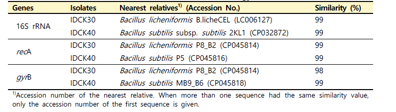 균주 IDCK30과 IDCK40의 16S rRNA, recA와 gyrB 유전자 염기서열 유사성