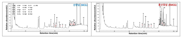 산양삼과 홍산양삼의 전형적인 ginsenoides HPLC 크로마토그램.