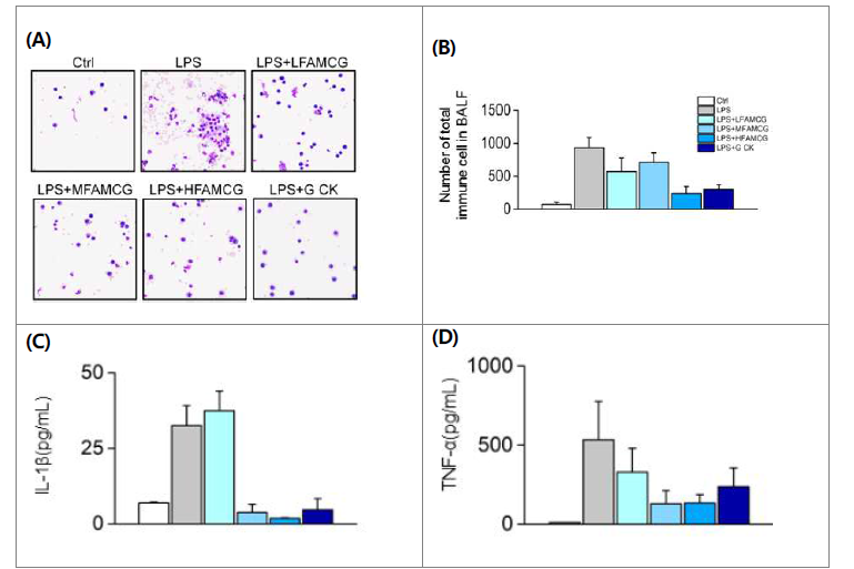LPS 유도 급성호흡곤란증후군 모델에서 증가한 염증인자에 있어서 활성산양 삼 추출액의 효과. (A, B) 총염증세포 (C, D) 염증성 사이토카인 IL-1β와 TNF-α