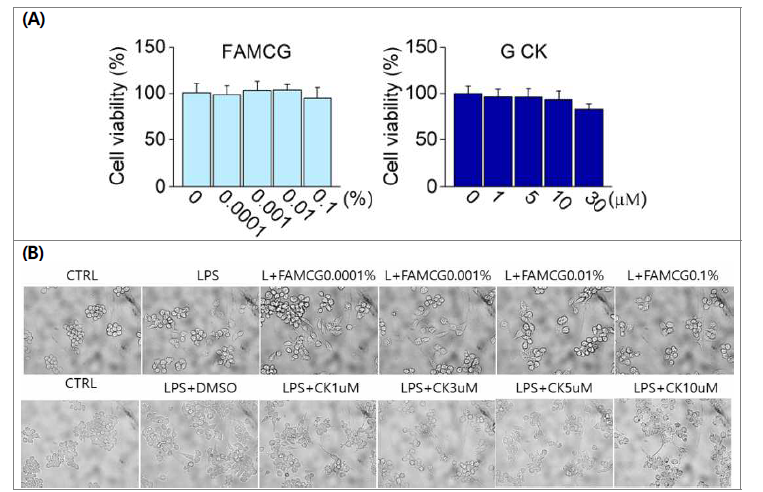 활성산양삼의 LPS 처리에 의한 세포독성 완화 효과 세포 생존력 분석 (A) MTT assay (B) 세포 이미지