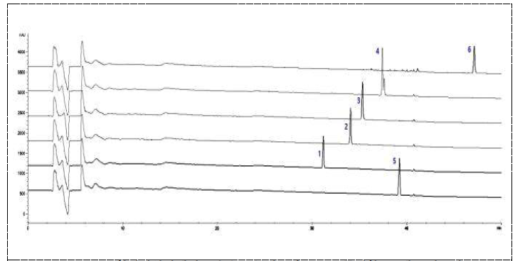 활성산양삼에서 순수 분리 후 구조동정한 6개 사포닌 HPLC chromatograms