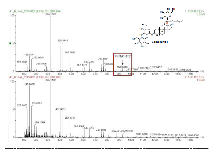 활성산양삼 메탄올 추출물에서 분리한 compound 1 MS, MS/MS data