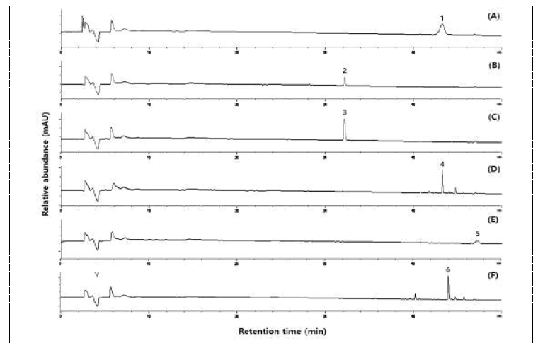 활성산양삼 메탄올 추출물에서 분리 진행중인 기타 대사물질 HPLC 패턴(3차년도 진행)