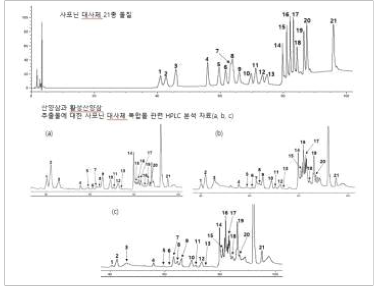 기능성대사체(사포닌 유도체) 복합물 대량함유 분석 관련 HPLC chromatogram