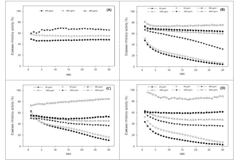 산양삼 원료, 활성산양삼(숙성, 발효) MeOH 추출물에 대한 농도별 elastase Inhibition activity 평가 실험 결과 (A) ursolic acid, (B) 산양삼 원료, (C) 활성산양삼(숙성), (D) 활성산양삼(발효)