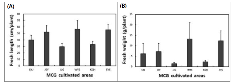 지역별 산양삼의 평균 길이(A) 및 평균 무게(B) 비교.