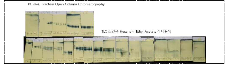 활성산양삼 메탄올 추출물을 비극성 용매 활용 후 칼럼한 fraction TLC 패턴