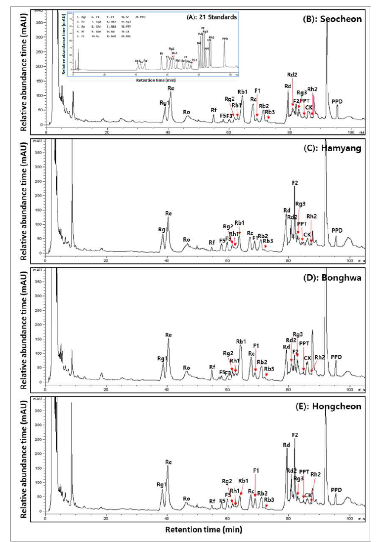 재배 지역별 산양삼 전초의 전형적인 ginsenoside HPLC 크로마토그램