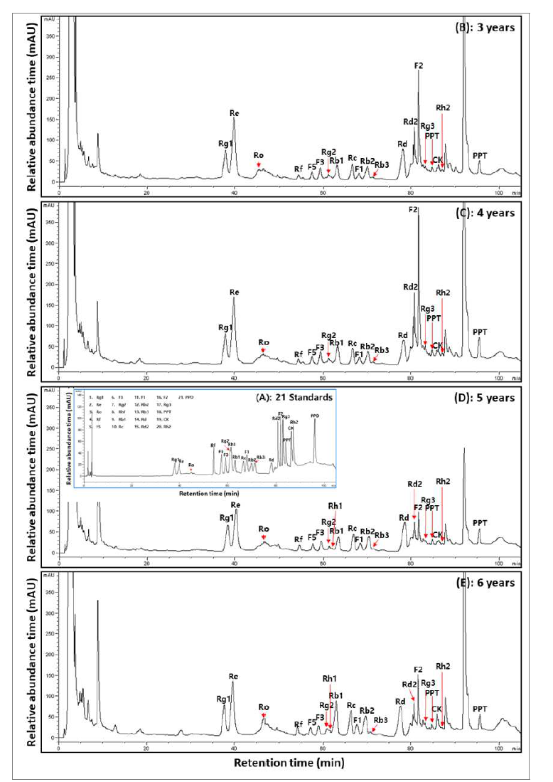 생육 연수별 산양삼 전초의 전형적인 ginsenoside HPLC 크로마토그램