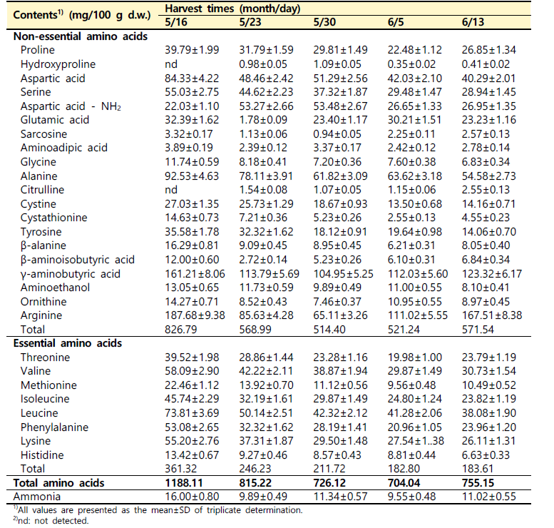 수확 시기별 산양삼 전초(백전면)의 유리 아미노산 함량 비교