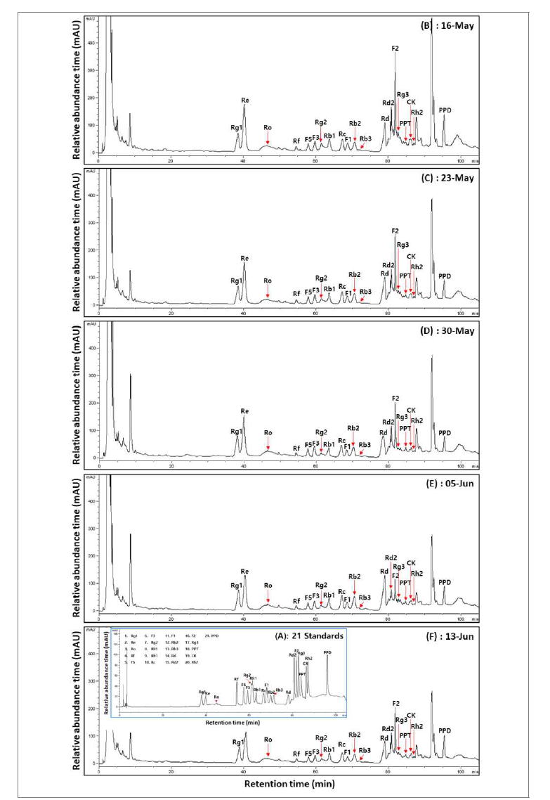수확 시기별 산양삼 전초(백전면)의 전형적인 ginsenoside HPLC 크로마토그램