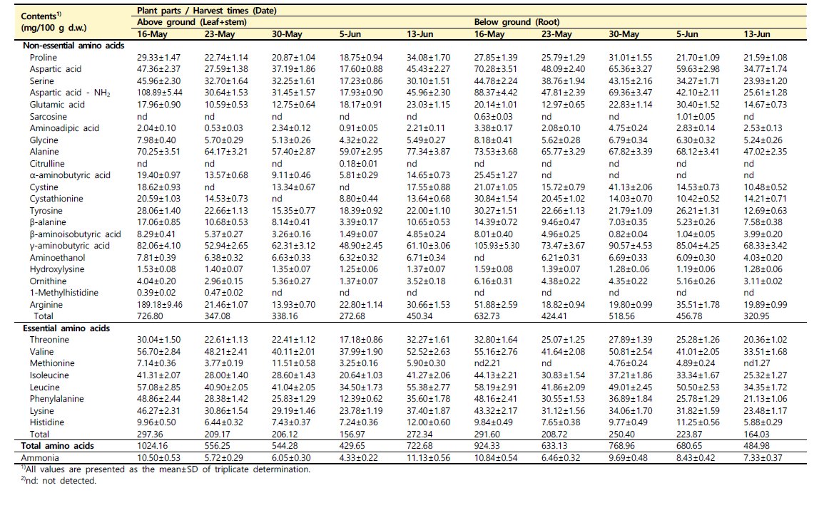 수확 시기별 산양삼(백전면) 지상부와 지하부의 유리 아미노산 조성 변화