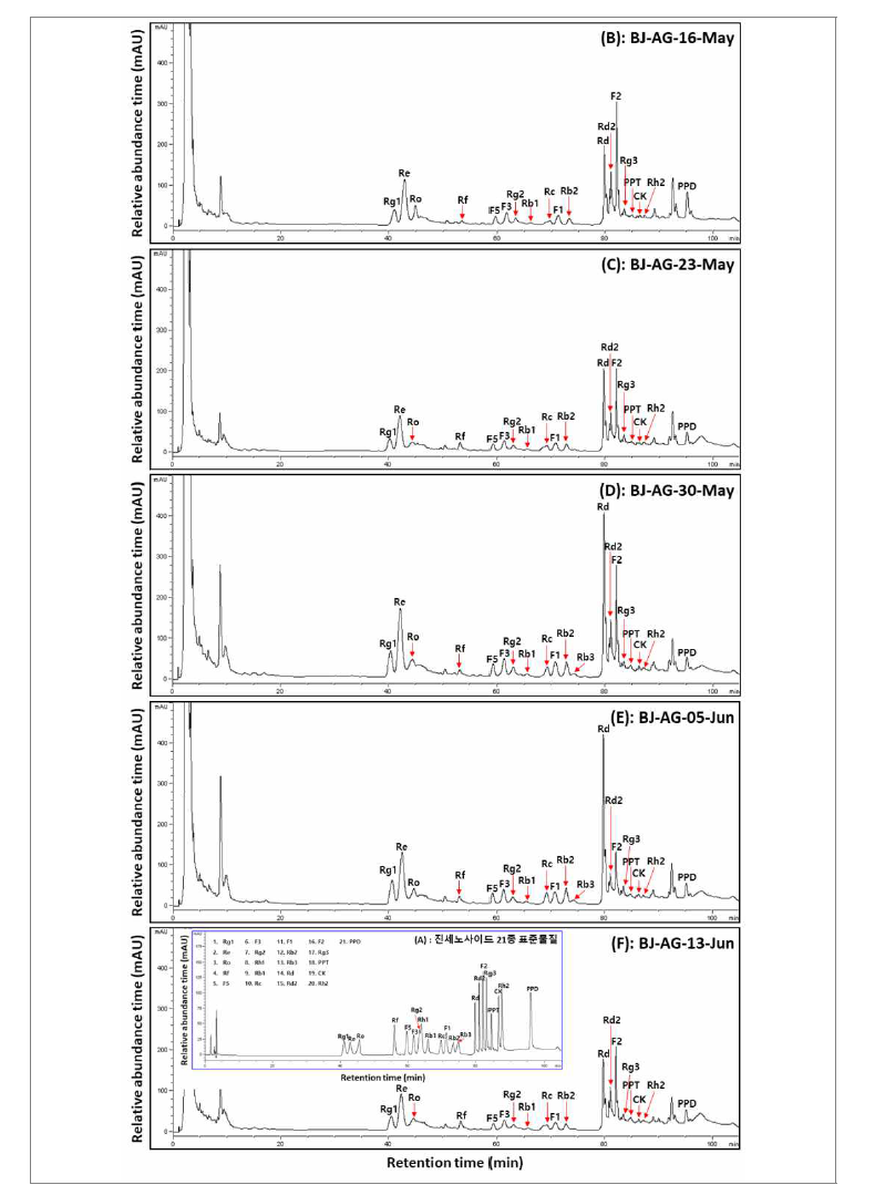 수확 시기별 산양삼(백전면) 지상부의 전형적인 ginsenoside HPLC 크로마토그램.