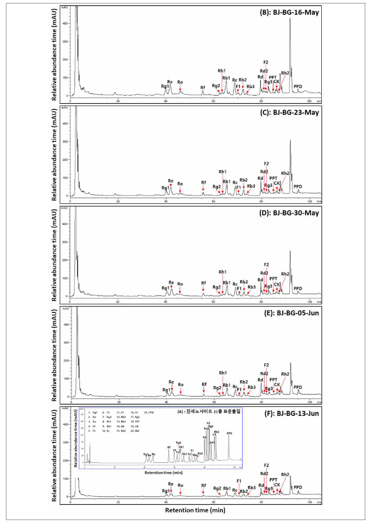 수확 시기별 산양삼(백전면) 지하부의 전형적인 ginsenoside HPLC 크로마토그램