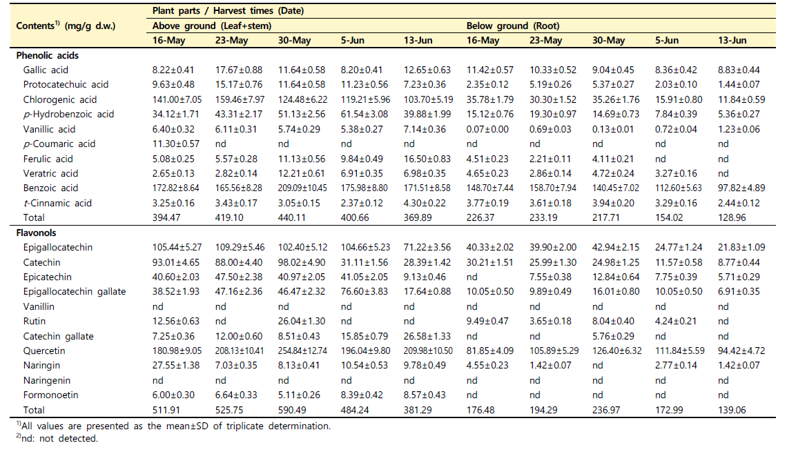 수확 시기별 산양삼(백전면) 지상부와 지하부의 phenolic acids 및 flavonols 조성 변화
