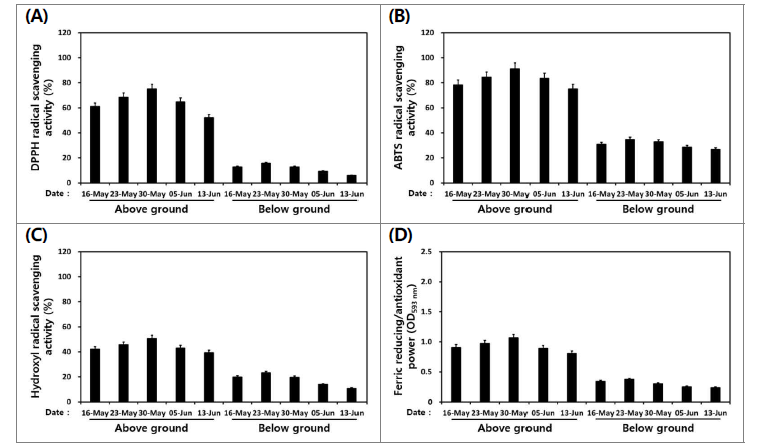 수확 시기별 산양삼(백전면) 지상부와 지하부의 DPPH (A), ABTS (B)와 hydroxyl (C) 라디칼 소거활성 및 총 FRAP (D) 환원력 비교