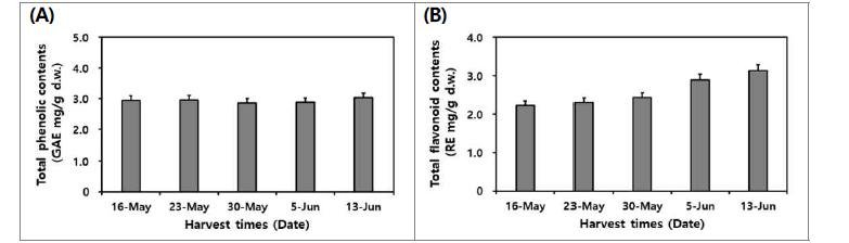 수확 시기별산양삼 전초(서하면)의 총 phenolics (A) 및 총 flavonoids 함량 비교.