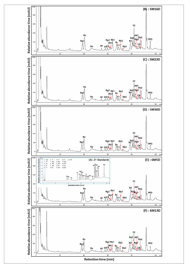 수확 시기별산양삼 전초(서하면)의 전형적인 ginsenoside HPLC 크로마토그램
