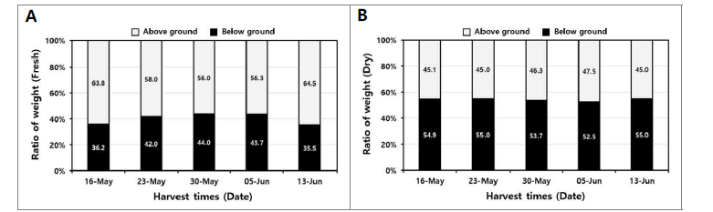 수확 시기별 산양삼(서하면) 지상부와 지하부의 무게 비율.