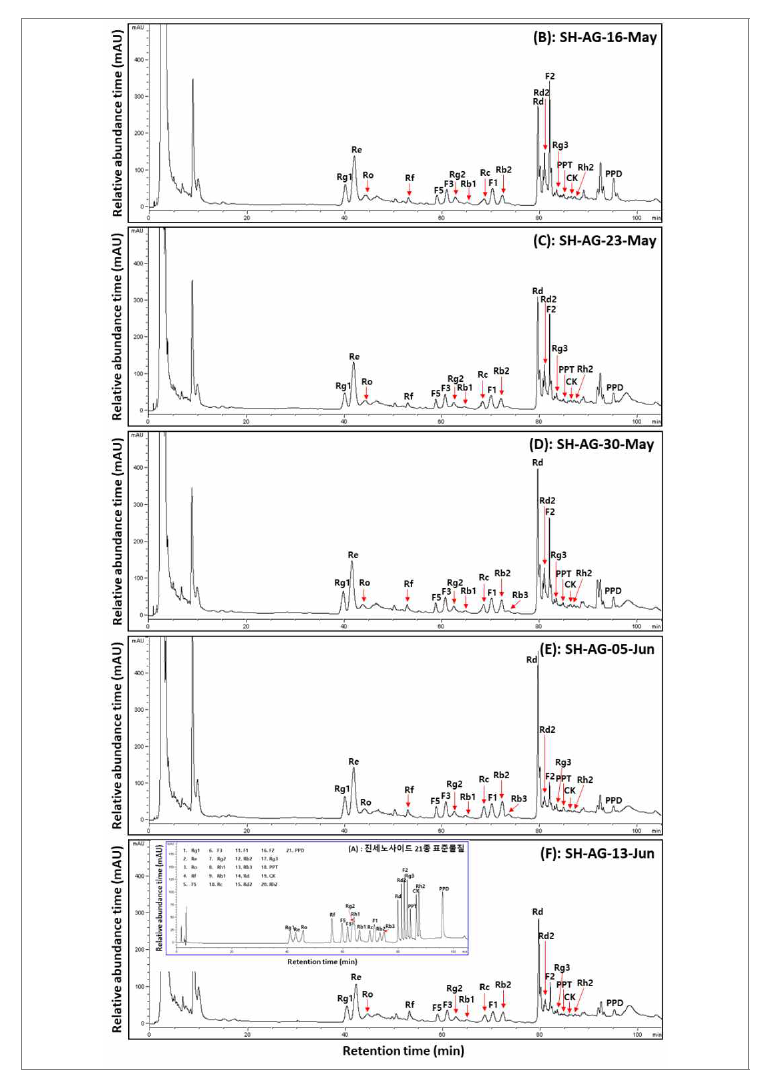 수확 시기별 산양삼(서하면) 지상부의 전형적인 ginsenoside HPLC 크로마토그램