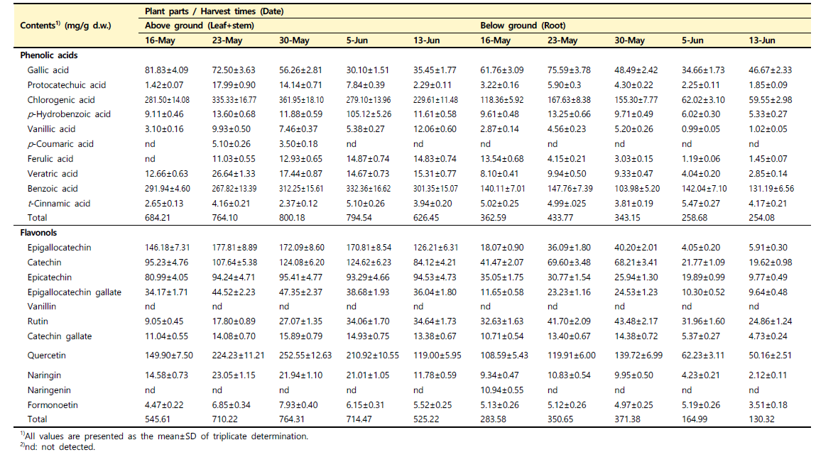 수확 시기별 산양삼(서하면) 지상부와 지하부의 phenolic acids 및 flavonols 조성 변화