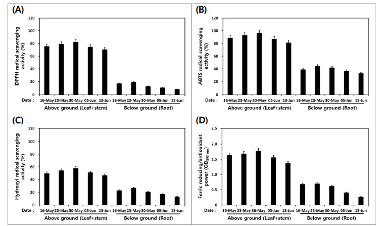 수확 시기별 산양삼(서하면) 지상부와 지하부의 DPPH (A), ABTS (B)와 hydroxyl (C) 라디칼 소거활성 및 총 FRAP (D) 환원력 비교